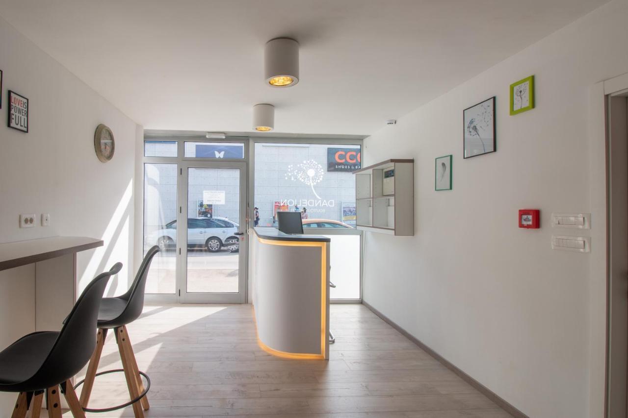 Dandelion Hostel Zadar Exteriér fotografie