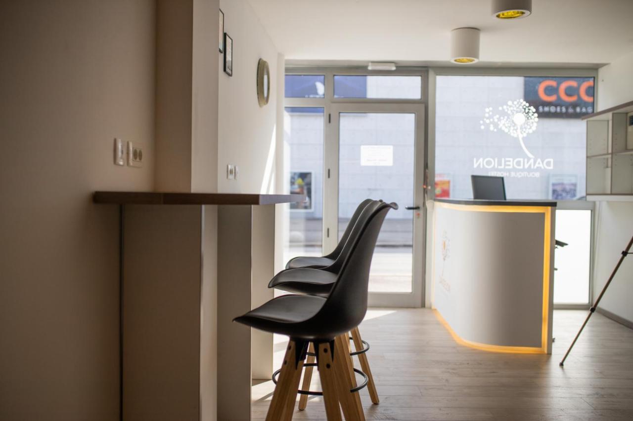 Dandelion Hostel Zadar Exteriér fotografie
