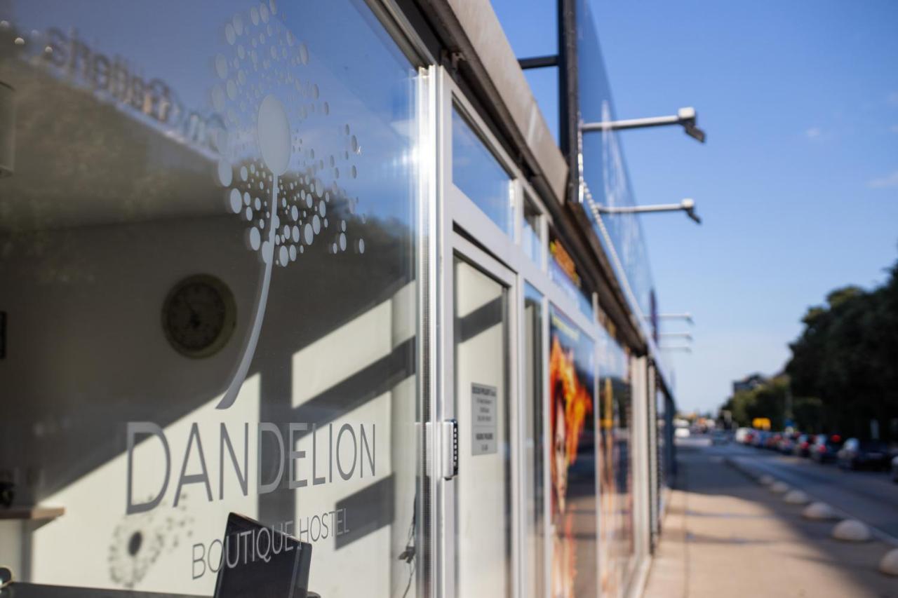 Dandelion Hostel Zadar Exteriér fotografie
